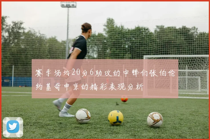 赛季场均20分6助攻的中锋们张伯伦约基奇申京的精彩表现分析