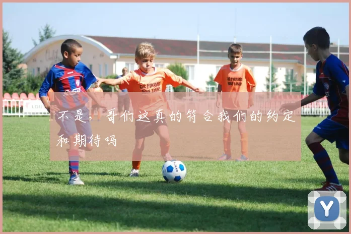 不是，哥们这真的符合我们的约定和期待吗